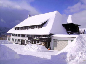 Гостиница Pension Wiesengrund, Шлухзее